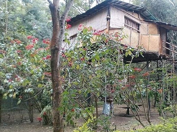 Tree House Stay At Mudumalai