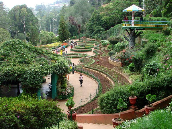 Gardens Of Ooty