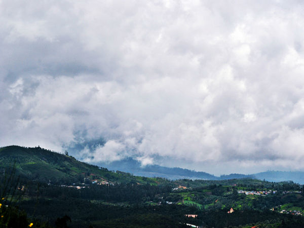Ooty