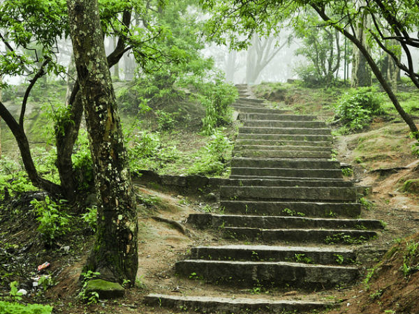 Nandi Hills