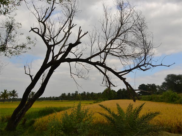 Best Time To Visit Maddur: