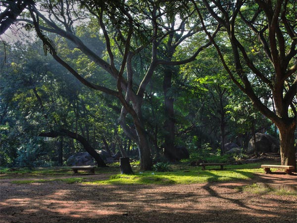Cubbon Park