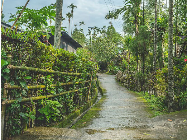 Mawlynnong Village, Meghalaya