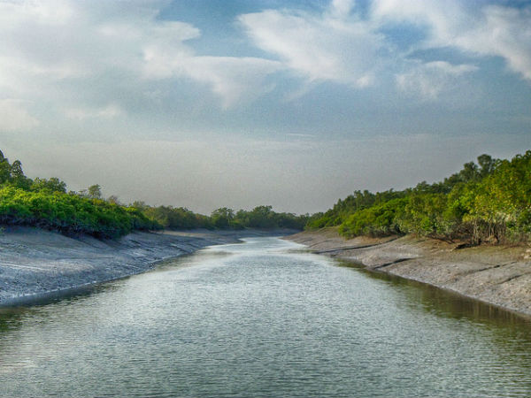 Sundarban National Park, West Bengal