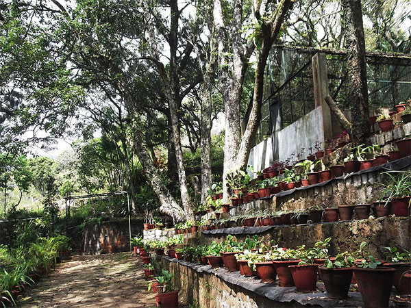 Orchidarium And Silk Farm