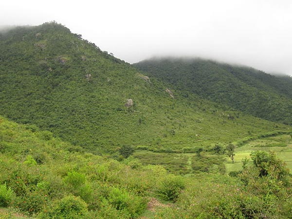 Himavad Gopalaswamy Betta