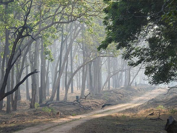 Best Time To Visit Nagarhole National Park