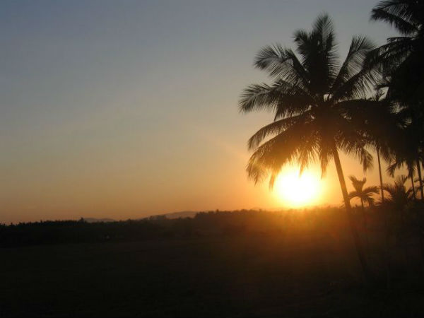 Mattur