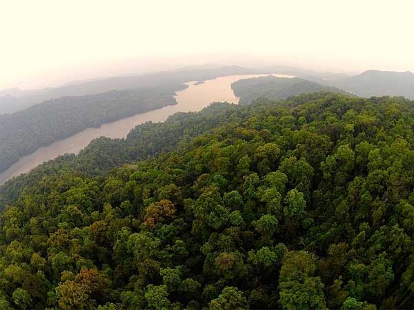 Sharavathi Wildlife Sanctuary