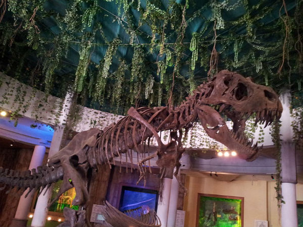 Dino Park