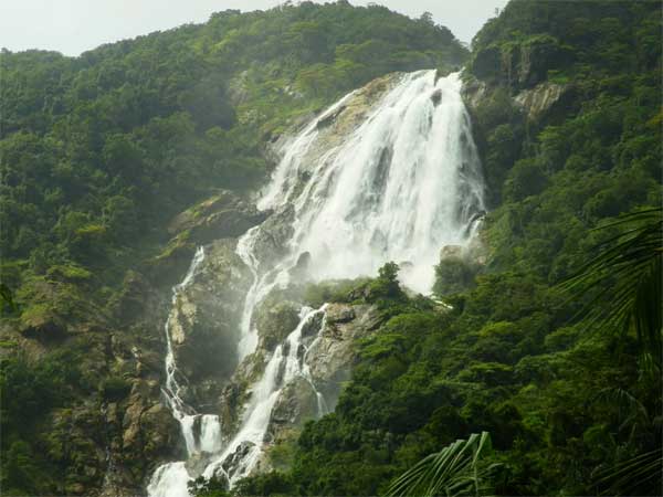 Best Time To Visit Dudhsagar