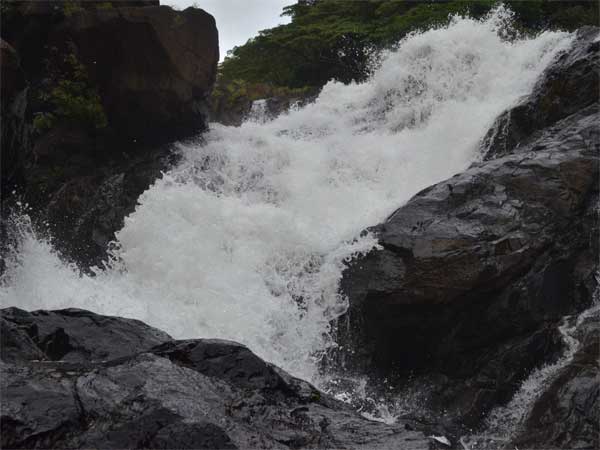 Trekking And Camping At Dudhsagar