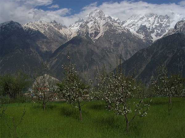 Best Time To Visit Kalpa