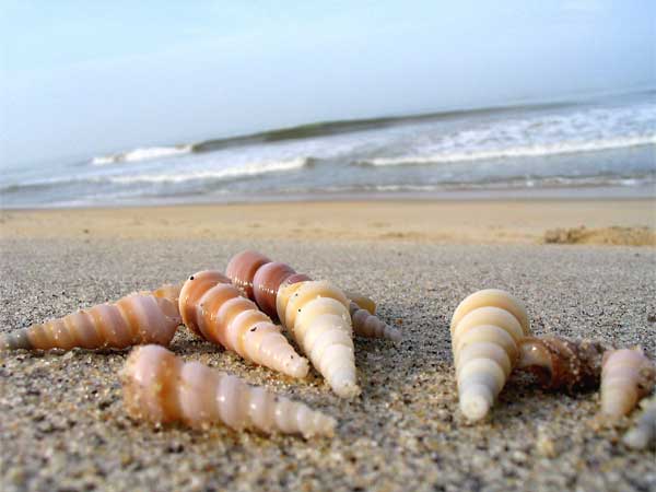 Best Time To Visit Mangalore: