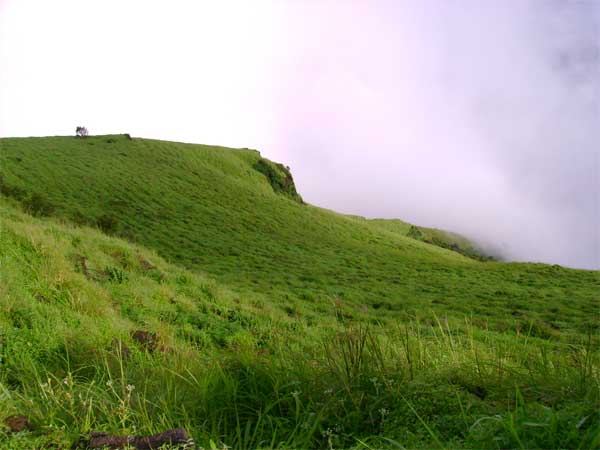 Sakleshpur