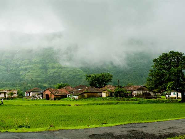 Amboli