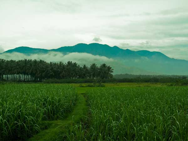 Munnar