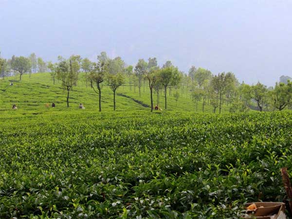 Coonoor