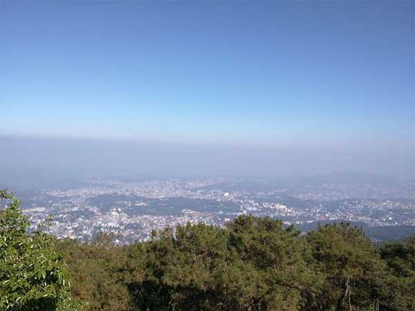 Explore The Forests Of Upper Shillong