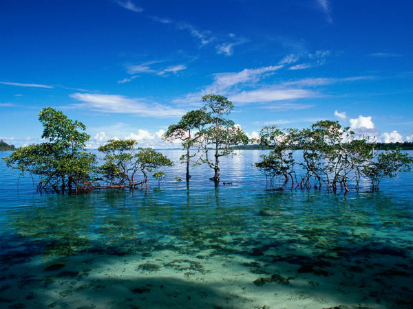 10. Havelock Island – Pentos