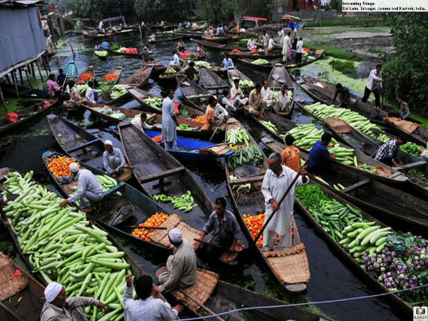 floating market on dal lake floating market on dal lake