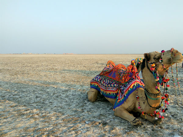 Other Places To Visit In Gujarat