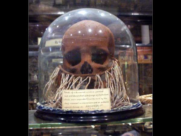 Anthropological Museum