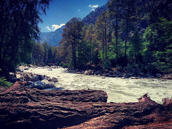 Kasol And Tosh Kasol And Tosh