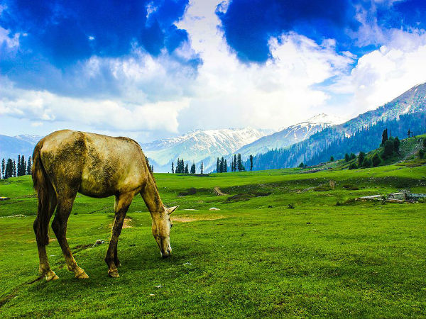 3. Gulmarg