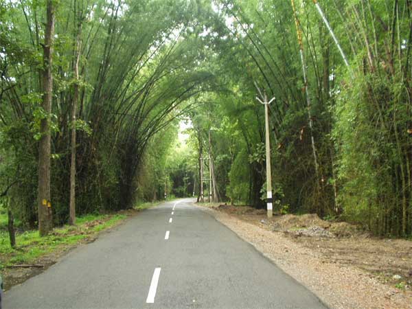 How To Reach Wayanad