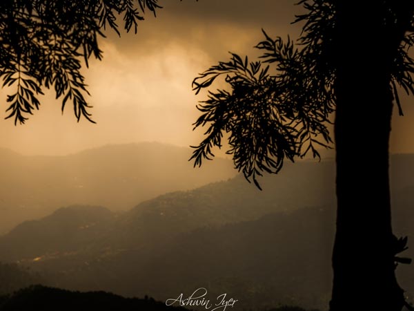 Shimla