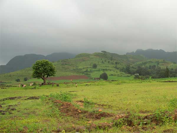 How To Reach Rajpipla