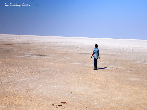 Ahmedabad To Rann of Kutch