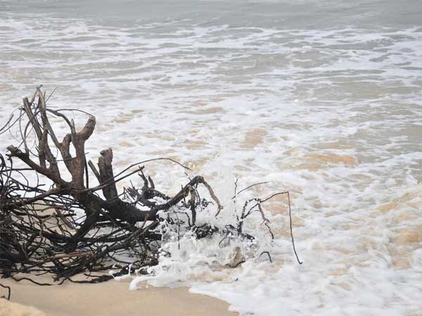 Best Time To Visit Sasihithlu Beach