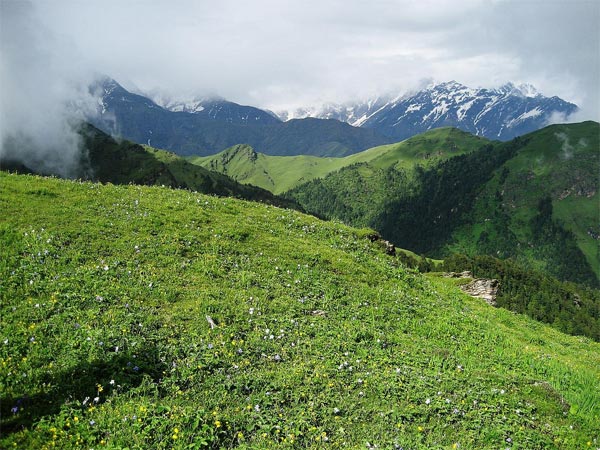 Ali Bugyal