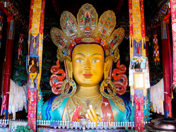 6. Hemis