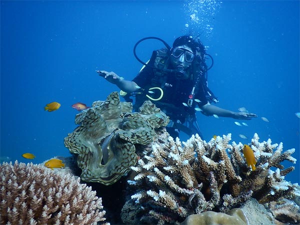Go Scuba Diving At Tsunami Island