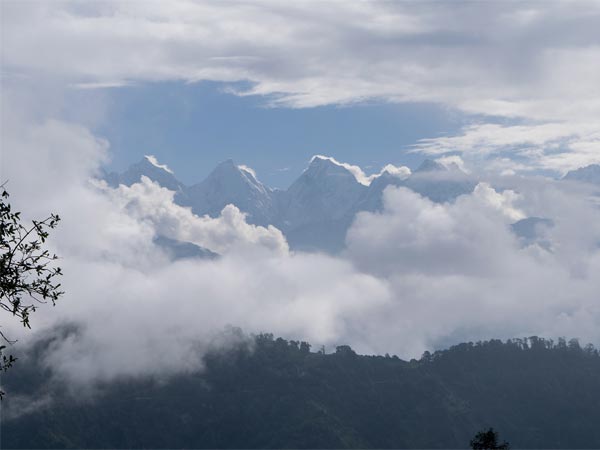 Madkot