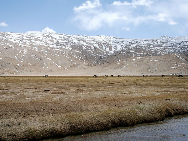 2. Chumathang – Leh
