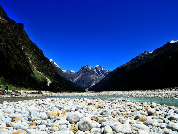8. Yumthang – Sikkim