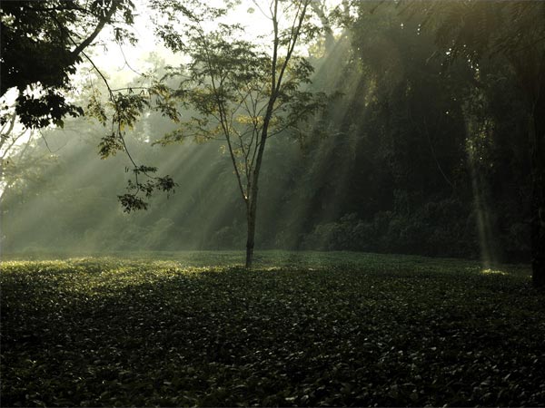 Best Time To Visit Assam