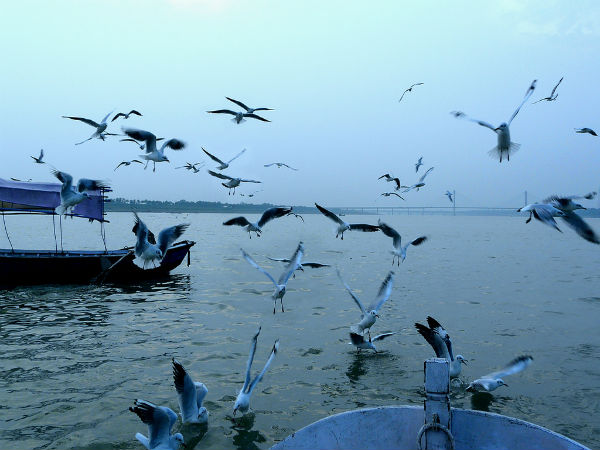 Triveni Sangam