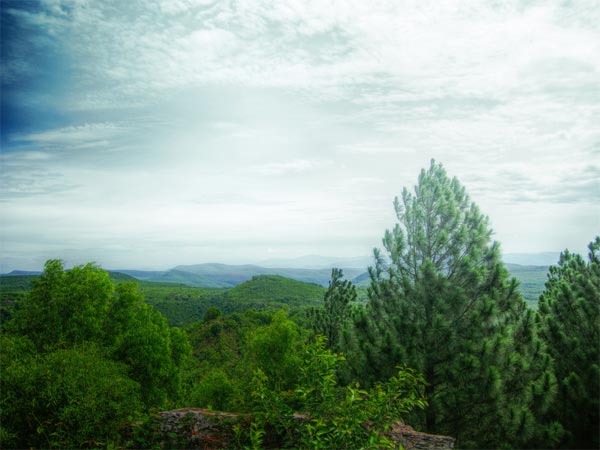 Venkateshwara Hills