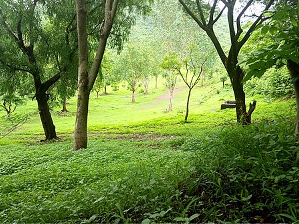 Bhiwandi