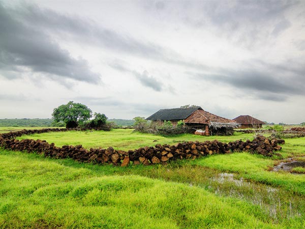 Vistas Of Villages