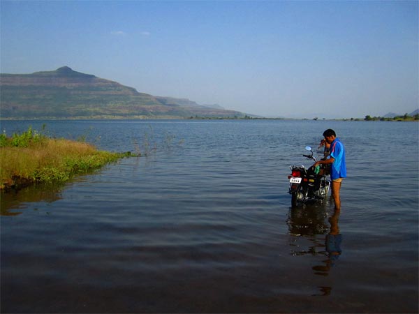 Birds Of Pimpalgaon Joga Dam
