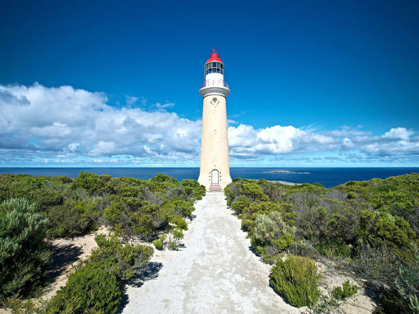 Visit The Lighthouse On Minicoy Island