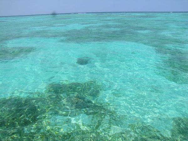 Visit The Colourful Corals At Kalpeni