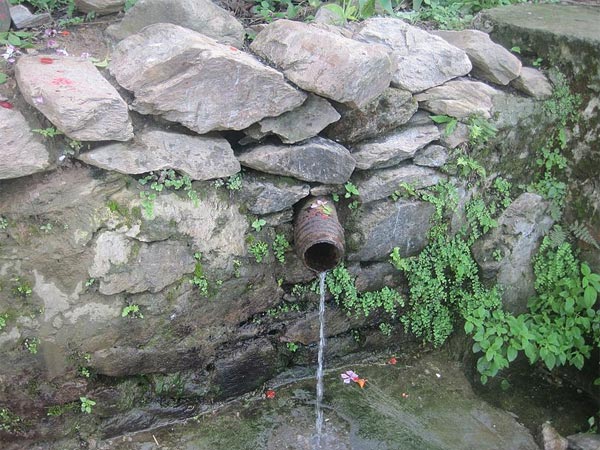 Varai Sativali