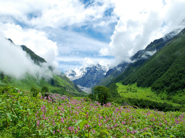 The Valley Of Flowers Trek